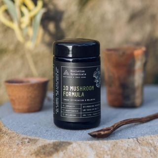 10 Mushroom Formula - Organic Daily Tonic