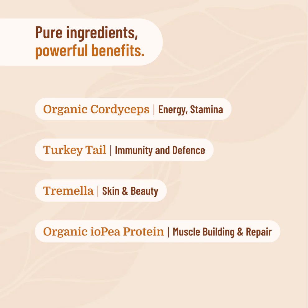 Evo Protein + Mushroom – Creamy Vanilla